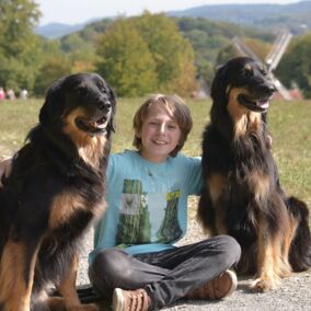 Kinder- und Jugendhilfe: Ein lächelnder Junge sitzt zwischen zwei Hunden