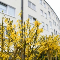 Ambulant Betreutes Wohnen (ABW) Gelsenkirchen