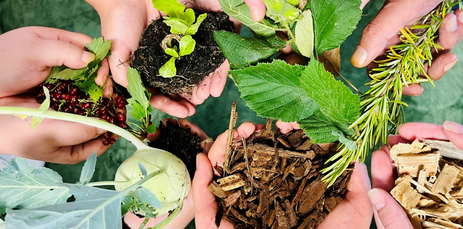 viele Hände gefüllt mit Naturalien (Gemüse, Früchte, Erde, Holzspäne, Blätter)