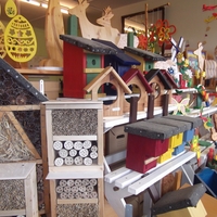 Tagesgestaltende Angebote Schillingshofsiedlung, Bethel.regional