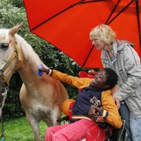 Reiten