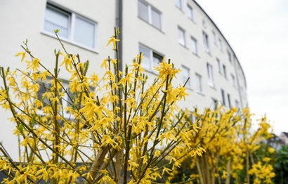 Die Rückseite vom Haus im Forsthauswinkel in Gelsenkirchen von Bethel.regional für Menschen in besonderen sozialen Schwierigkeiten/Wohnungslosenhilfe