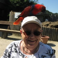 Operkörperportrait einer Person mit einem Papagei auf dem Kopf.