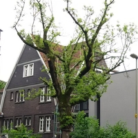 Haus Zeppelinstraße in Herne von Bethel.regional für die Betreuung von wohnungslosen Menschen und Menschen mit psychischen Erkrankungen und Suchterkrankungen.