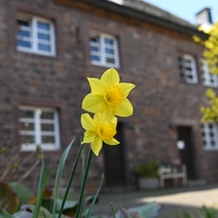 Das Angebot von Bethel.regional richtet sich an Menschen mit einer psychischen und/oder Suchterkrankung aus dem Kreis Höxter, die selbstbestimmt in einer eigenen Wohnung leben möchten und dabei Unterstützung benötigen.