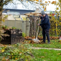 Eine Person sammelt das Laub im Garten