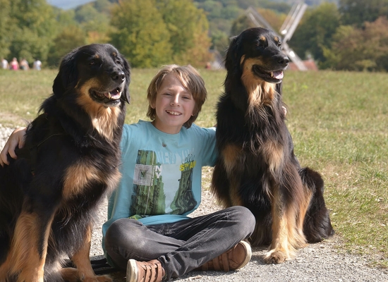 Kinder- und Jugendhilfe: Ein lächelnder Junge sitzt zwischen zwei Hunden