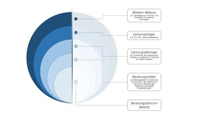 Zwiebeldiagramm Beratungszentrum BRAVO